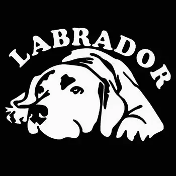 Симпатичная собака лабрадор Автомобиль Светоотражающие наклейки на окна кузова автомобиля Украшение наклейками